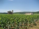 Vignes route des vins g�te Dijon